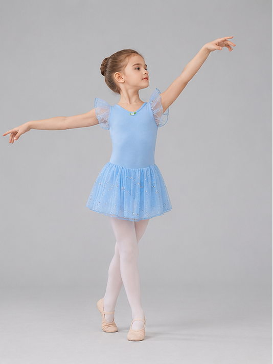 Girls Sparkle Ballet Dress with Tutu Skirt | Children’s Dance Leotard Dress | 3-13 Years | Blue